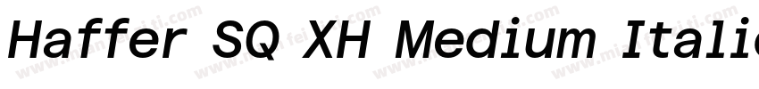 Haffer SQ XH Medium Italic字体转换
